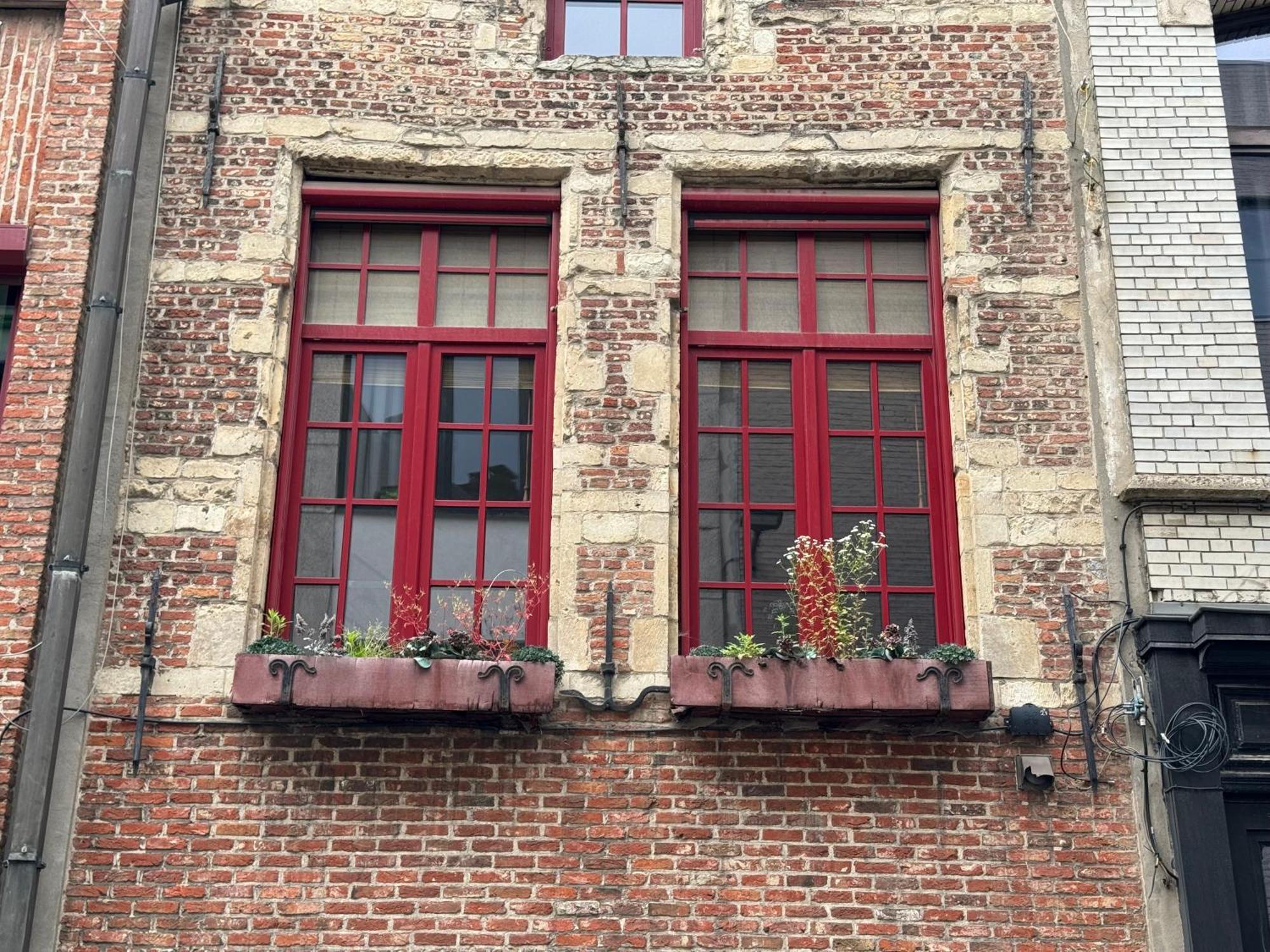 Garden Loft In City Center Meir 1Fl Antverpy Exteriér fotografie